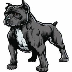 New ๐ Hot Stuff Sticker - Pitbull Portrait, Vinyl ๐